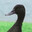 Samuel L. Quackson