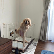 可能你注定要走