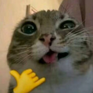 hostioff - steam id 76561198434105107
