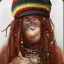 Rastaman