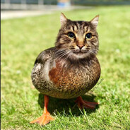 redbirdt
