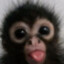 neoma