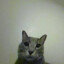 ennui_kitty