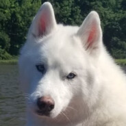 Asrei