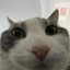 HANJ1N