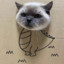 吾乃只因传人吸叉坤