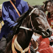 理塘最速伝説と青眼の白龍！珍珠小馬驹です！