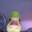 noh4ckqc420