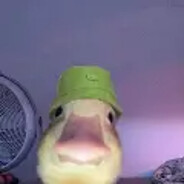 noh4ckqc420