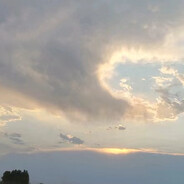 癞蛤蟆猛曹母天鹅