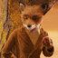 mr.fox and nt Matters