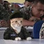 BOT (GoodVibes)
