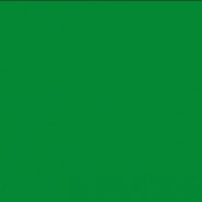 Mr.Green