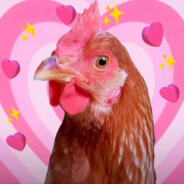 厉不厉害你鸡哥