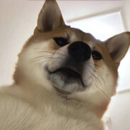 宇宙超级无敌最强暴龙