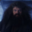 Dirty Hagrid