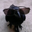 GanGER