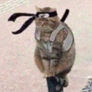 _Самурай Кот_