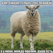 Сонечка's avatar