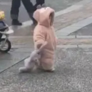 落樱流苏回转溪