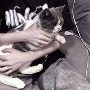 不若从孤竹于首阳