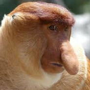 Monkey - steam id 76561198067775824