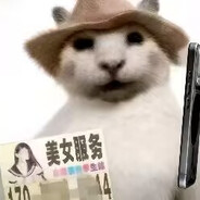 %COLOR(D9D919)怒玩梦临红音