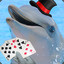 Magician Dolphin