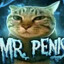 Mr.Penis