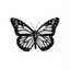 Butterfly&lt;3