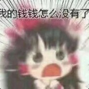 以死生家国利苟