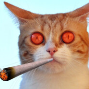 _Обкуренный-_-Кот_