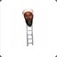 Osama bin ladder