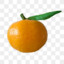 Mandarina