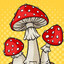 Fly Amanita