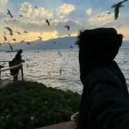 众神之父赐予我重伤倒地