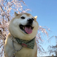 转身你我已是云泥