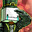 Hatty Hattington avatar