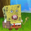 Bob has contracted sponge