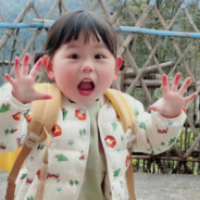 你看看我能吃不