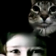 1800/hours/modixail?