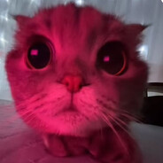 Avatar of ㋡☭нёрфик☭㋡