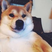 垃圾话吟游诗人