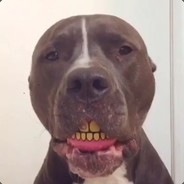 霸气安哥日你妹