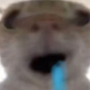 屹立在崖边盛开的红花