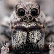 -Tarantula-