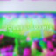 rowletgamingpl