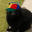 Cat with Propeller Hat