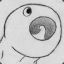 _lunkhead