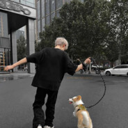 操场上最漂亮的女孩子.